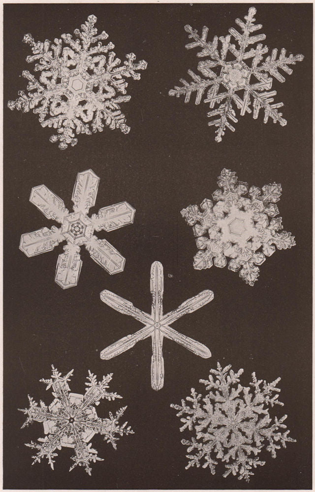 Forms of Snow Crystals (2). Science 1904 old antique vintage print picture